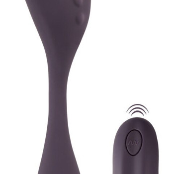 Remote Controlled Couple's Vibrator