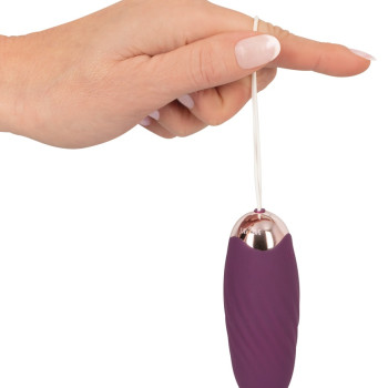 Javida – fjarstýrt egg