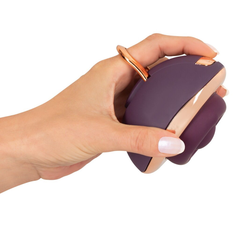 Rotating Vulva Massager