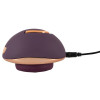 Rotating Vulva Massager