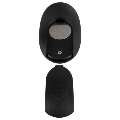 Cock and Ball Ring with RC Butt Plug