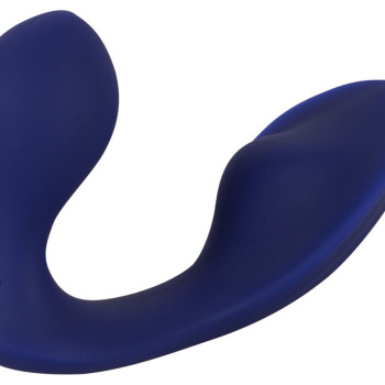 RC Anal Panty Vibrator
