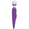 Passion Pointer mini
