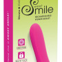 Rechargeable Power Bullet