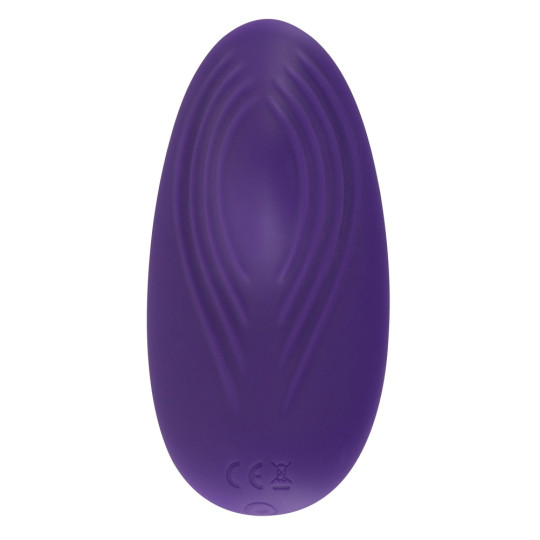 Panty Vibrator