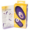 Panty Vibrator
