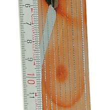 Folding Ruler "Girl"