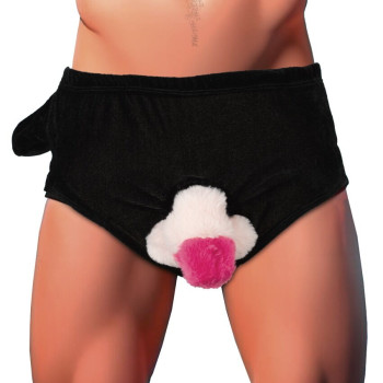 Penis Briefs