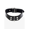 Elegant D-Ring Collar