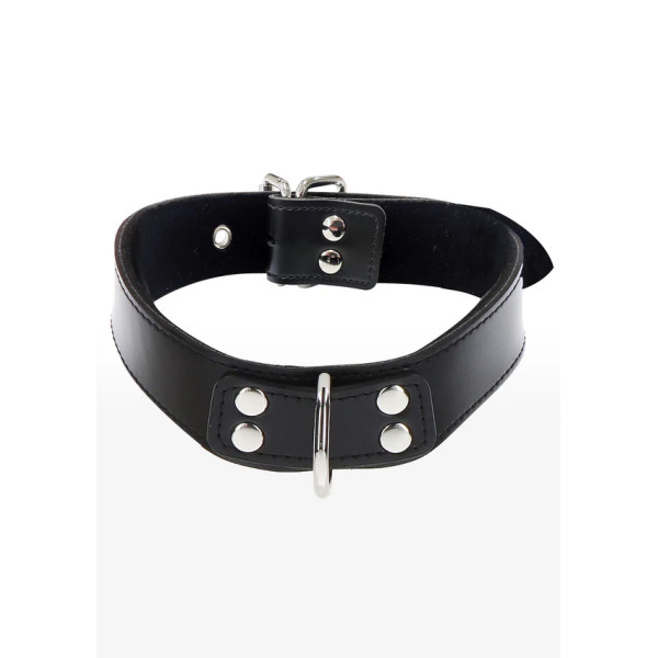 Elegant D-Ring Collar