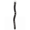 Elegant D-Ring Collar