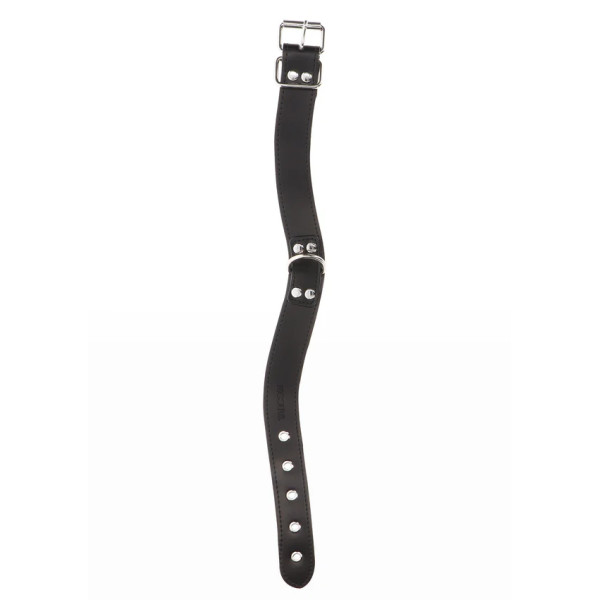 Elegant D-Ring Collar
