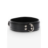 Heavy D-Ring Collar