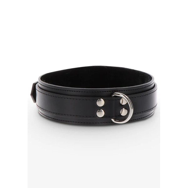 Heavy D-Ring Collar