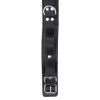 Heavy D-Ring Collar