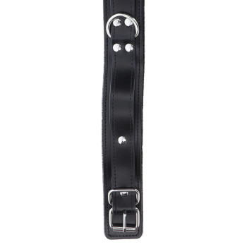 Heavy D-Ring Collar