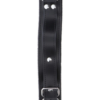 Heavy D-Ring Collar