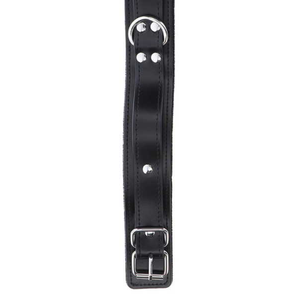 Heavy D-Ring Collar
