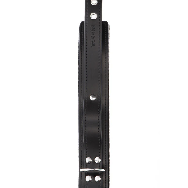 Heavy D-Ring Collar