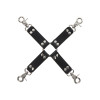 Hogtie