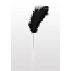 Feather Tickler