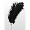 Feather Tickler