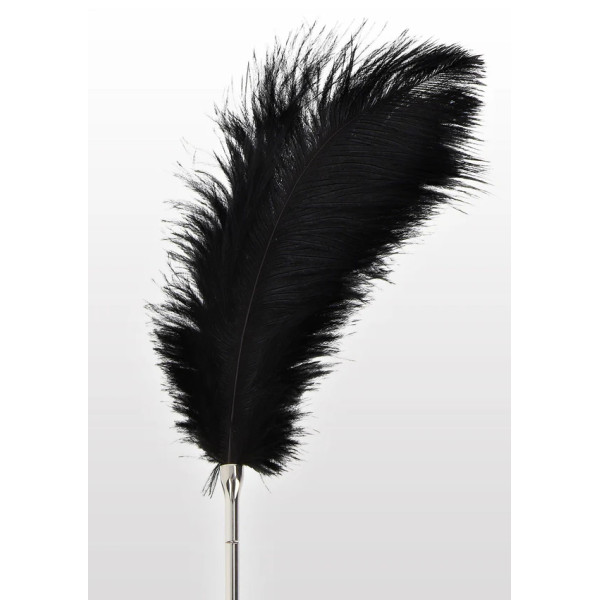 Feather Tickler
