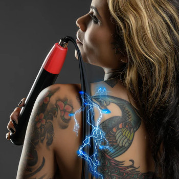Electro Wand Whip
