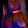 Collar and Chain Leash