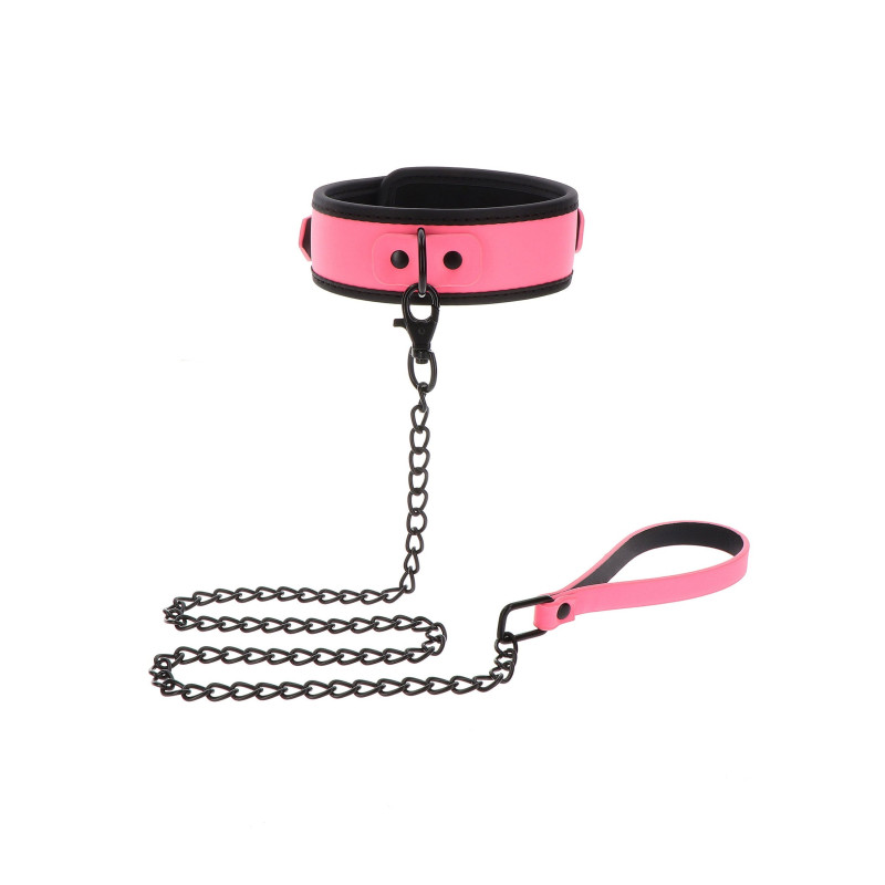 Collar and Chain Leash