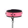 Collar and Chain Leash