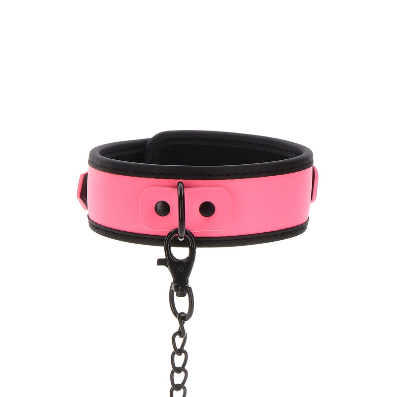 Collar and Chain Leash