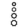 Nipple Enlargers with 8 Rings