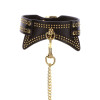 Studded Collar and Leash