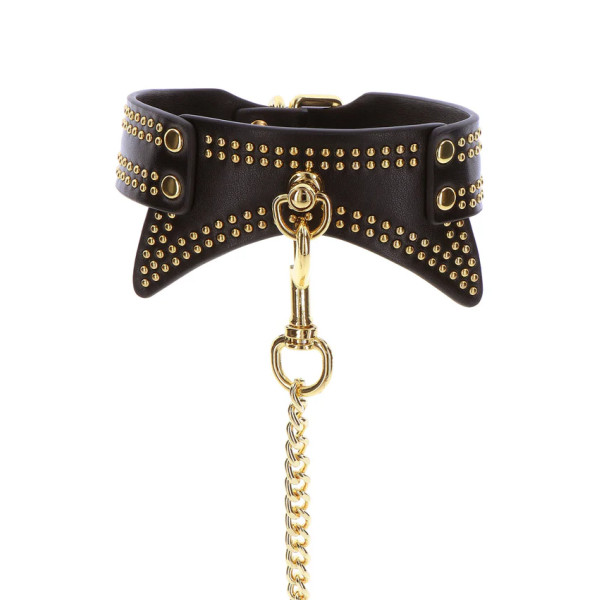 Studded Collar and Leash