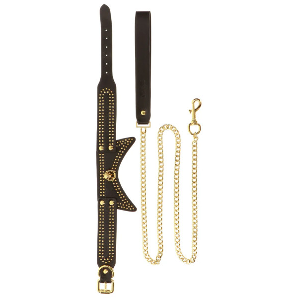 Studded Collar and Leash
