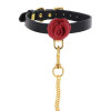 Wild Roses Collar & Leash