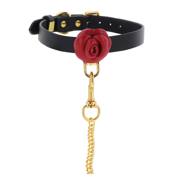 Wild Roses Collar & Leash
