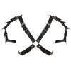 Leather Harness
