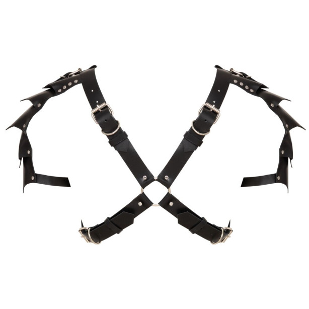 Leather Harness
