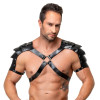 Leather Harness