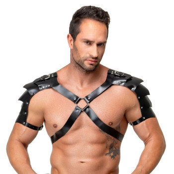 Leather Harness