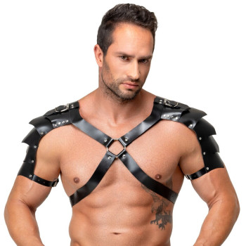 Leather Harness