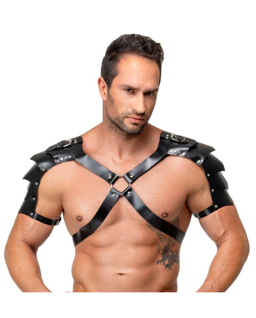Leather Harness