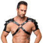 Leather Harness
