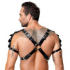 Leather Harness