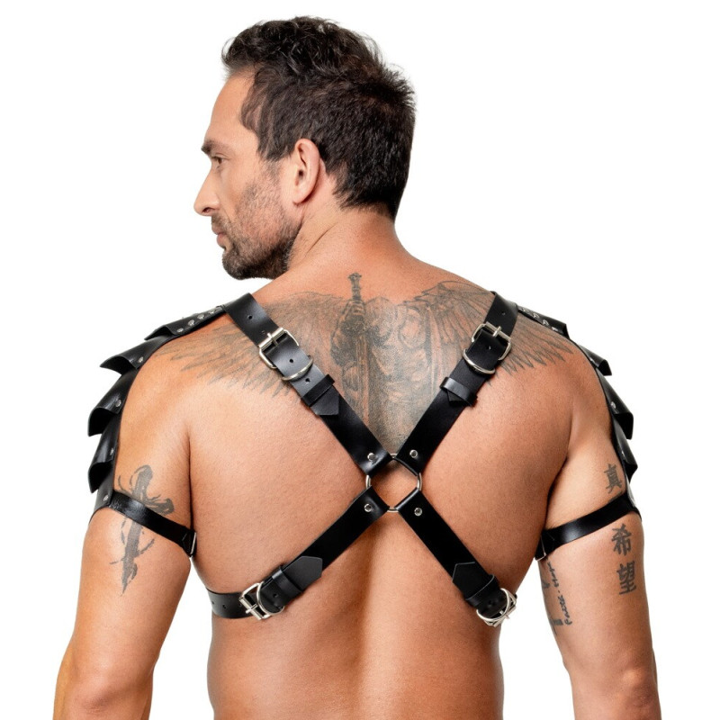 Leather Harness