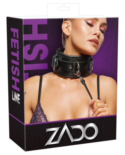 Leather Collar/Leash