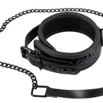 Collar with Leash