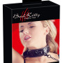 Collar with Leash